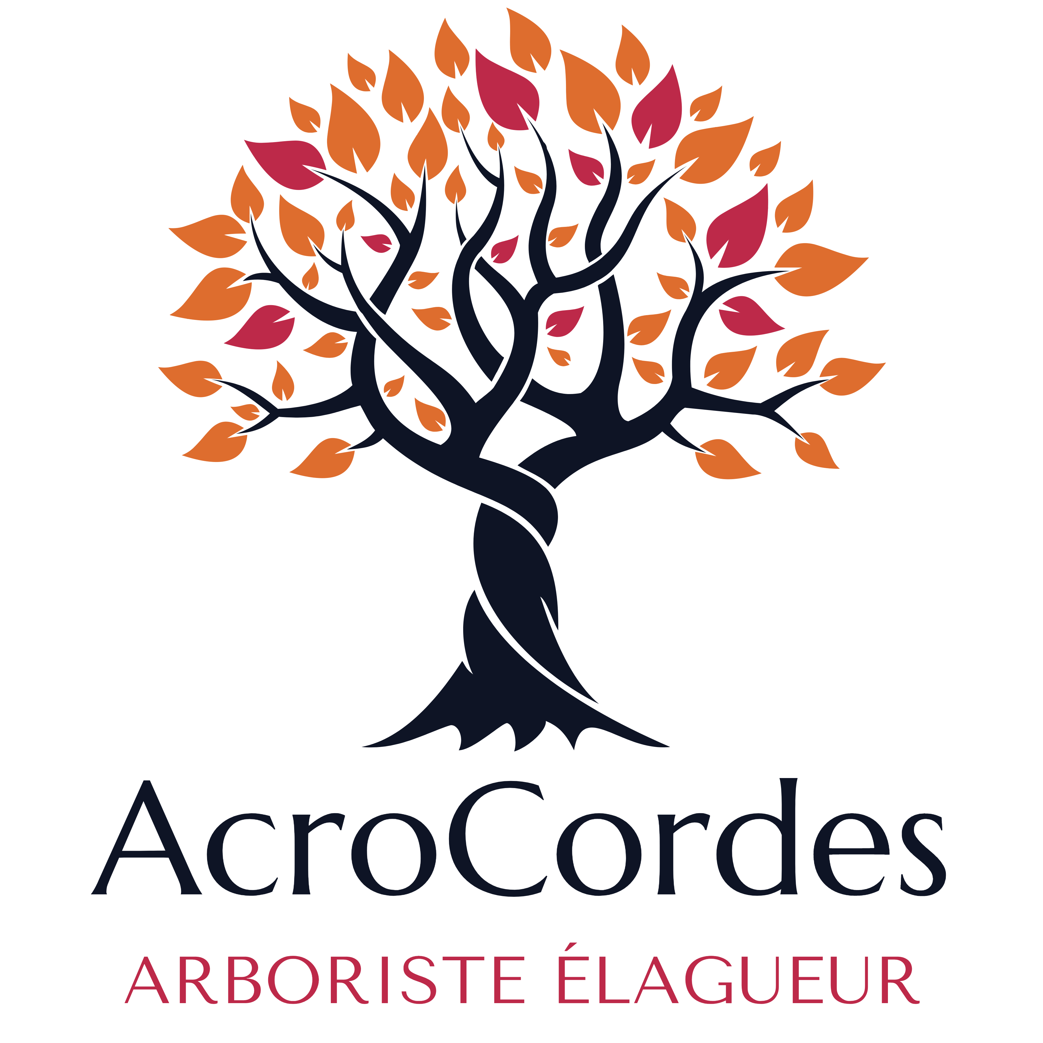 AcroCordes : Élagueur & Cordiste